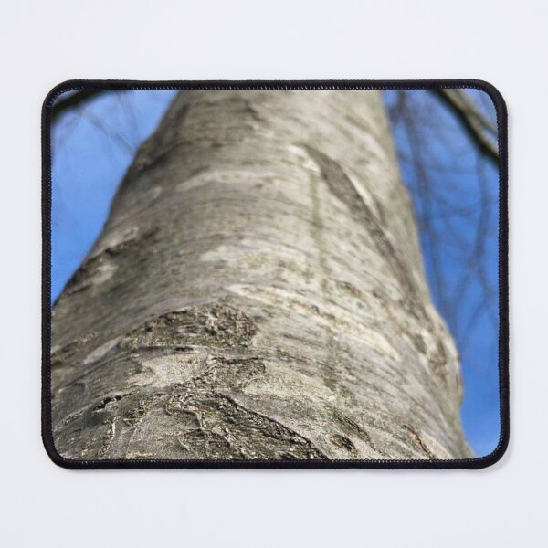 Item preview, Tree photo designed and sold by FlyingSprinkles.
