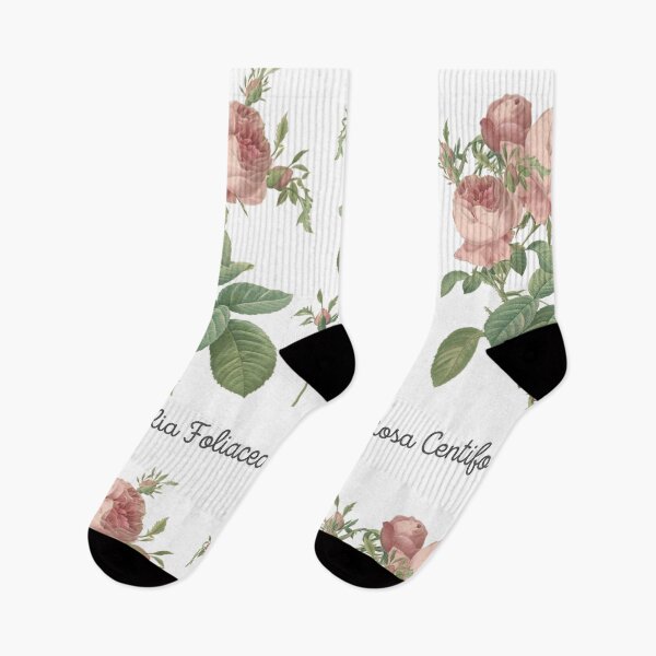 Item preview, Rosa Centifolia Foliacea, Let Today Be Enough designed and sold by danaJG.