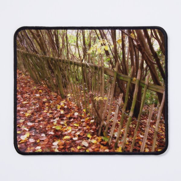 Item preview, A leafy lane and a broken wooden fence. designed and sold by ronsaunders47.