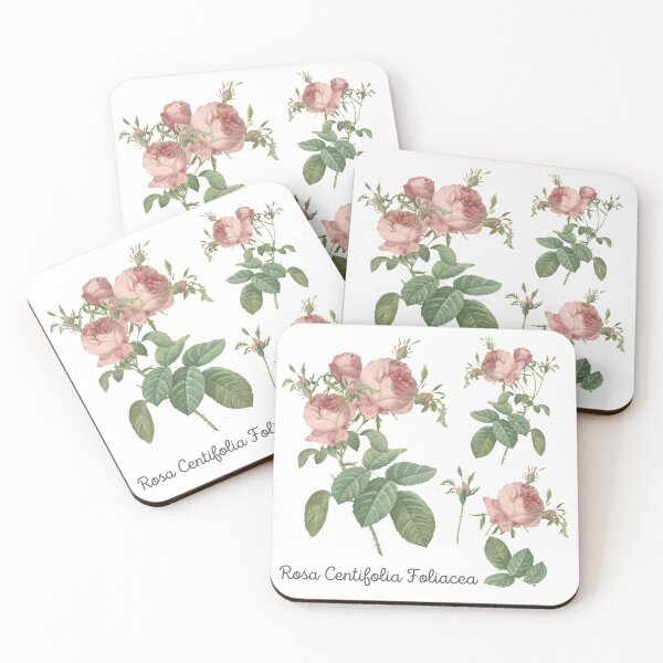 Item preview, Rosa Centifolia Foliacea, Let Today Be Enough  designed and sold by danaJG.