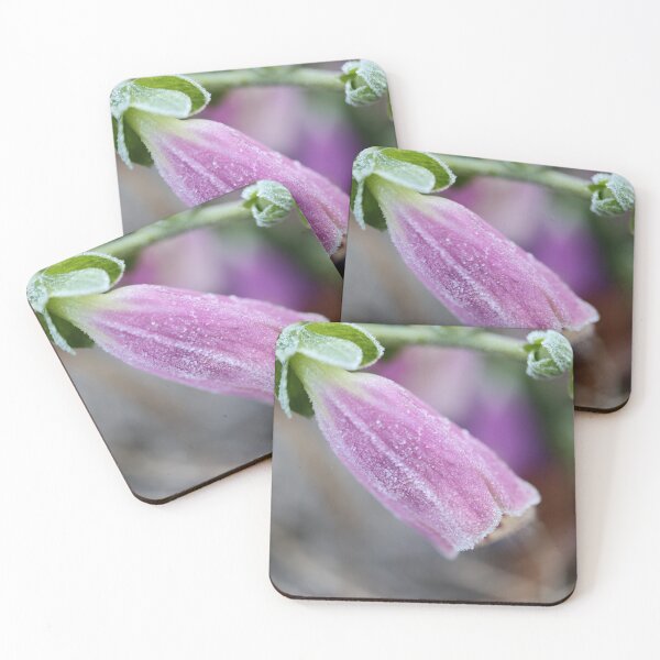Item preview, Frosty Foxglove designed and sold by LisaNaturePhoto.
