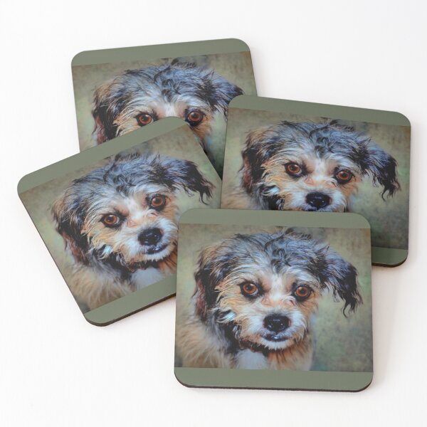 Item preview, Scrappy  designed and sold by Savannah Gibbs.