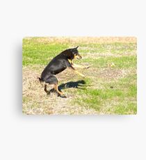 I've Got This... My Ball.....Our Shadows Too...... Metal Print