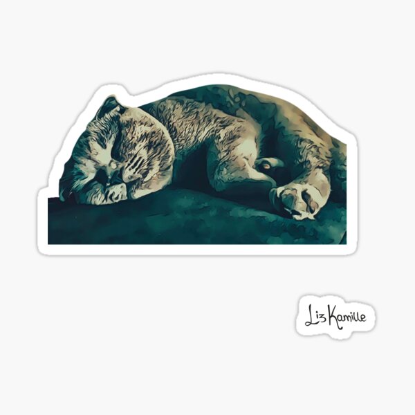 Sleep Kitty (White Background) Sticker