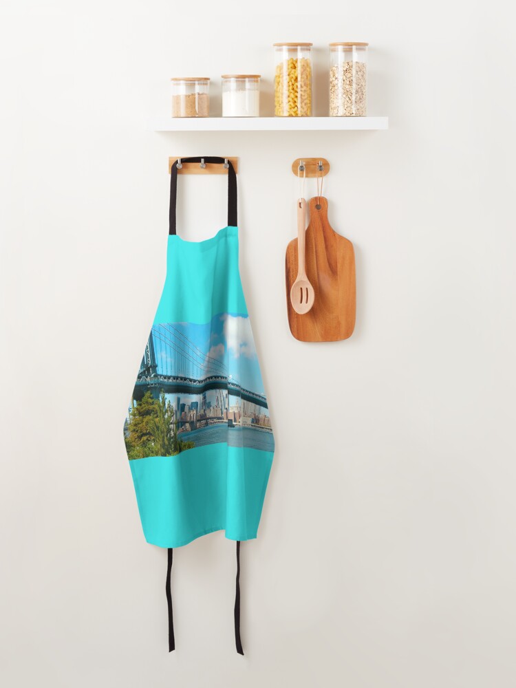 Alternate view of NYC BRIDGES Apron