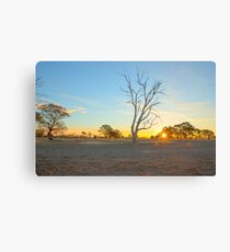Sun Rays ...... Canvas Print