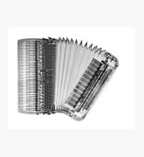 X-ray of an Accordion on white background Photographic Print