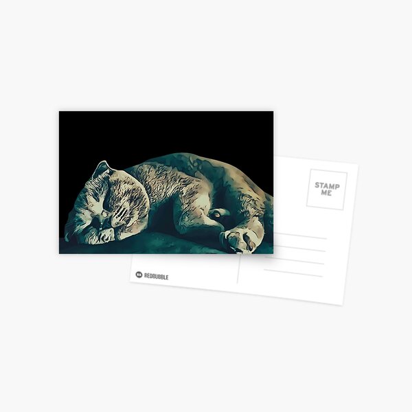 Sleep Kitty (Black Background) Postcard