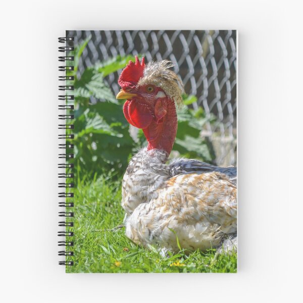 Item preview, Rooster designed and sold by Olimpia Negura.