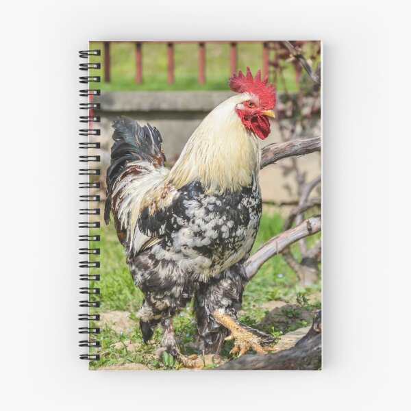 Item preview, Rooster designed and sold by Olimpia Negura.