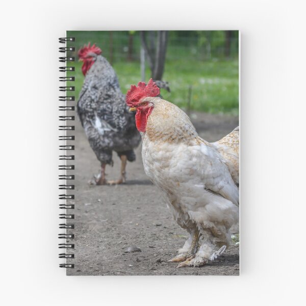 Item preview, Rooster designed and sold by Olimpia Negura.