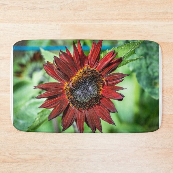 Item preview, Sunflower designed and sold by AlbertMi.