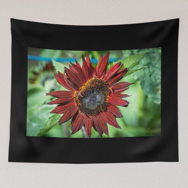 Item preview, Sunflower designed and sold by AlbertMi.