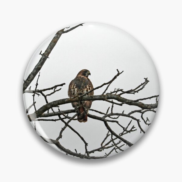 Item preview, Red Tailed Hawk In Winter designed and sold by Deb Oppermann.