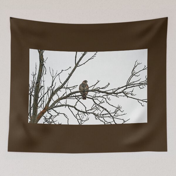 Item preview, Red Tailed Hawk In Winter designed and sold by Deb Oppermann.