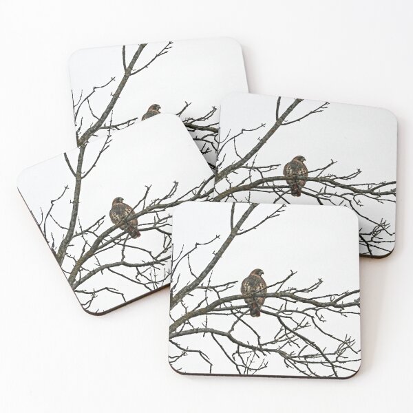 Item preview, Red Tailed Hawk In Winter designed and sold by Deb Oppermann.