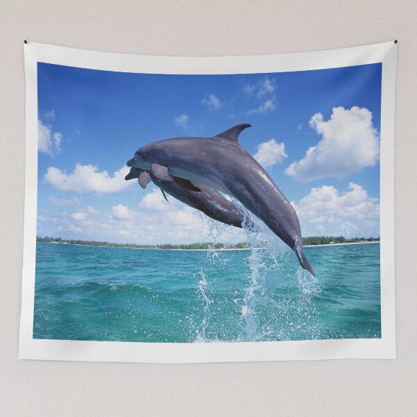 Item preview, Beautiful dolphin in the sea of ​​Socotra designed and sold by MiarCo.