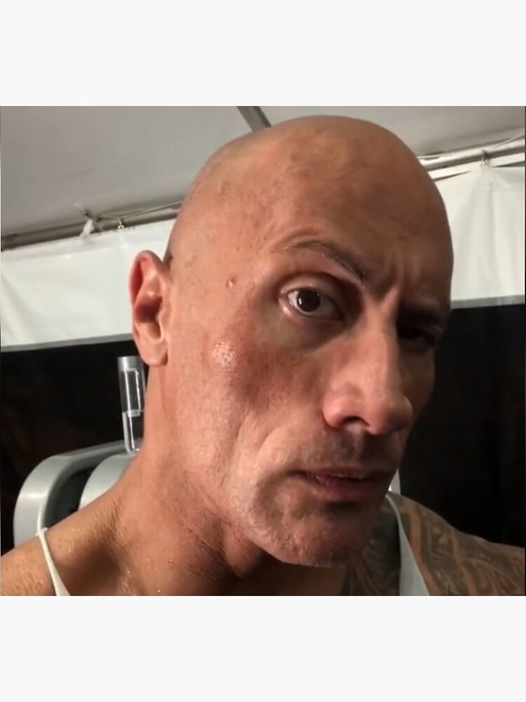 in 2023  The rock dwayne johnson, The rock eyebrow, Rock meme