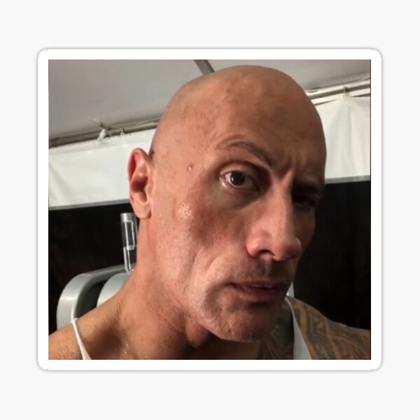 The Rock Eyebrow Meme Sticker Sticker for Sale by stickermemeshop