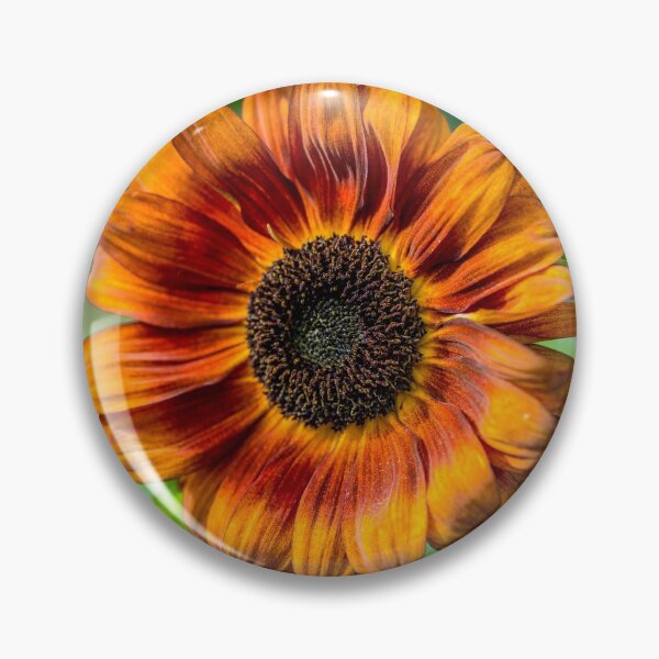 Item preview, Sunflower designed and sold by AlbertMi.