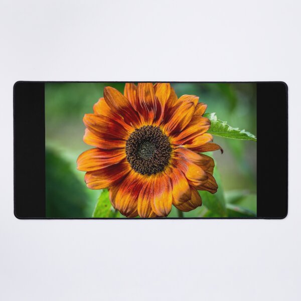 Item preview, Sunflower designed and sold by AlbertMi.