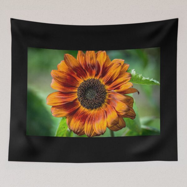 Item preview, Sunflower designed and sold by AlbertMi.