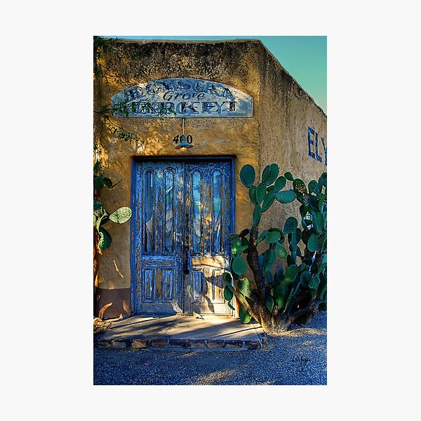 Elysian Grove Photographic Print