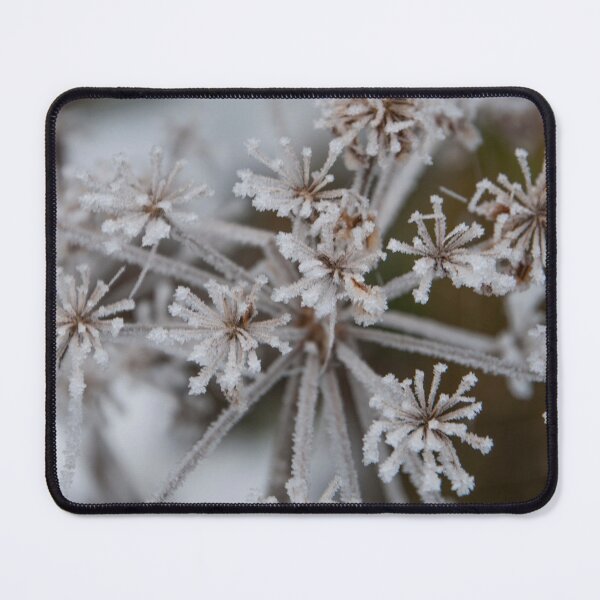 Item preview, Macro shot of frosty wildflower blooms designed and sold by Michael Brewer.