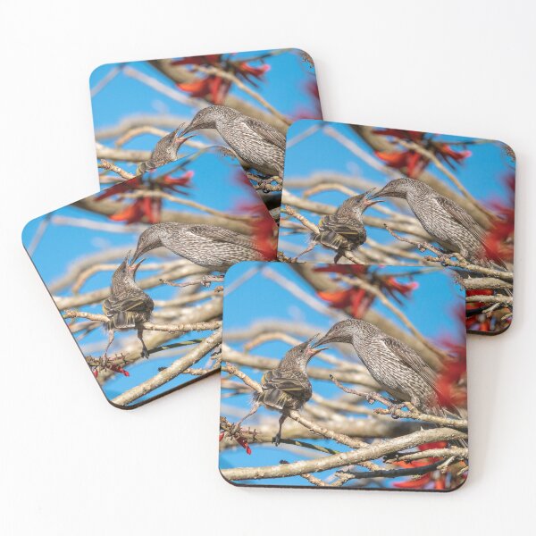 Item preview, Little Wattle Birds: Feeding Time designed and sold by Andrew Goodall.