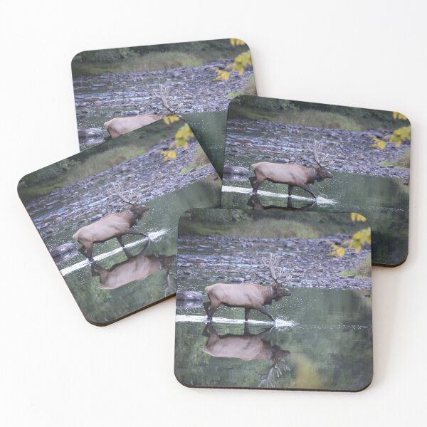 Item preview, Bull Elk Crossing Kettle Creek designed and sold by KC-IM.
