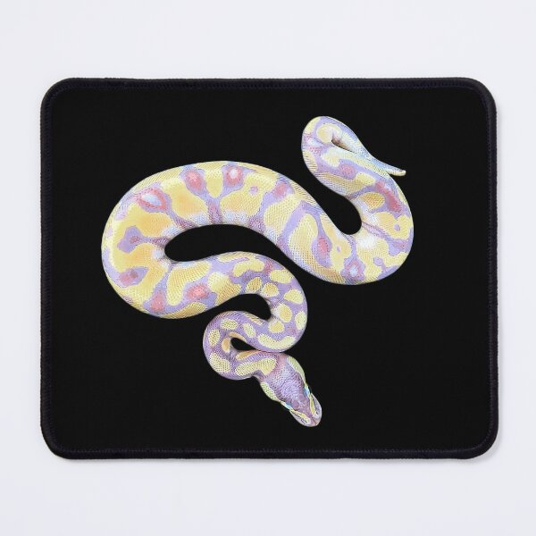 Item preview, Ball Python- Banana Beauty- Snake designed and sold by Elarex.
