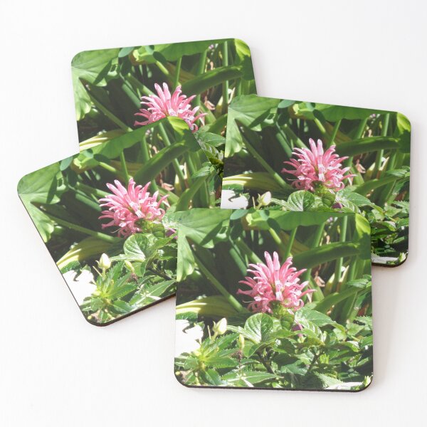 Item preview, Brazilian Plume designed and sold by GardenArtworks.