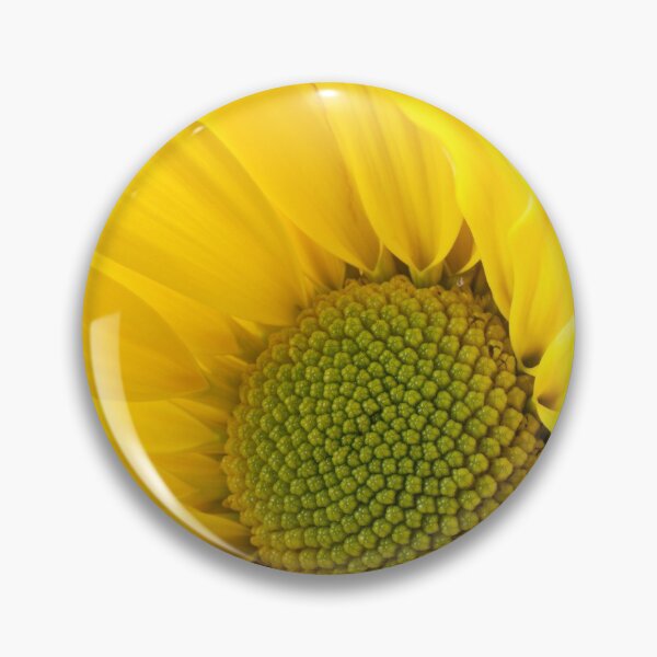Item preview, Close Up of Yellow Mum designed and sold by Garry Gay.