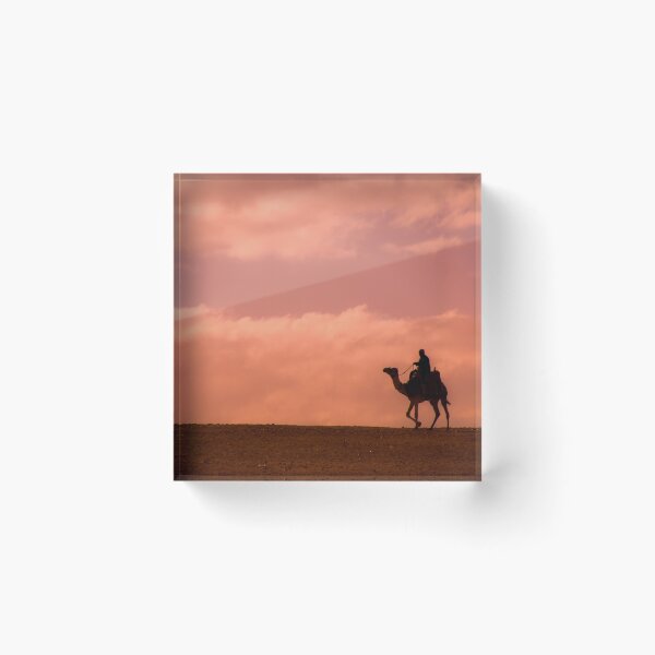 Artikelvorschau, Sunset Camel Rider entworfen und verkauft von Michael Brewer.