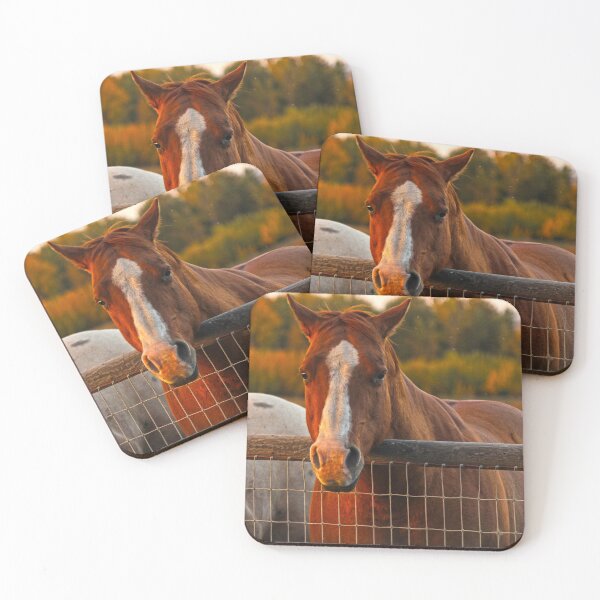 Item preview, Horse enjoying a fall sunset designed and sold by Alex Baron.
