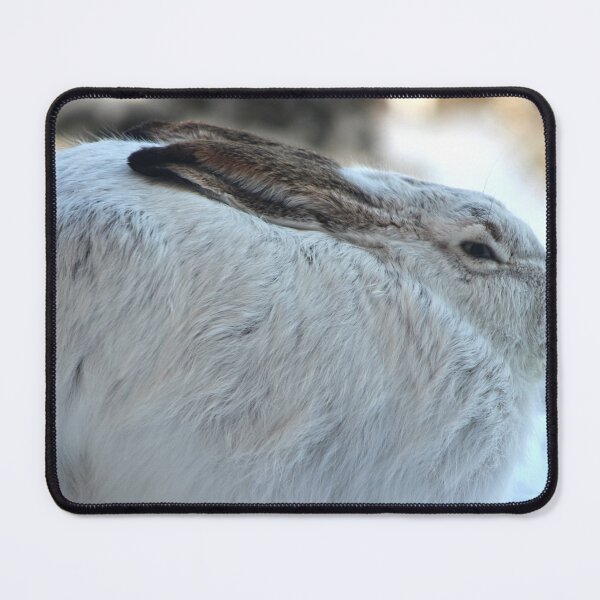 Item preview, Jackrabbit in Winter designed and sold by Alex Baron.