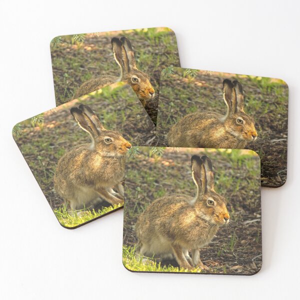 Item preview, Jackrabbit in Summer designed and sold by Alex Baron.