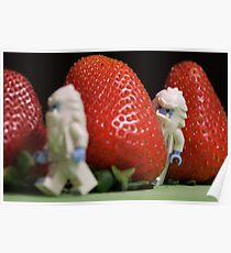 Hide n' Seek in the Strawberry Forest Poster