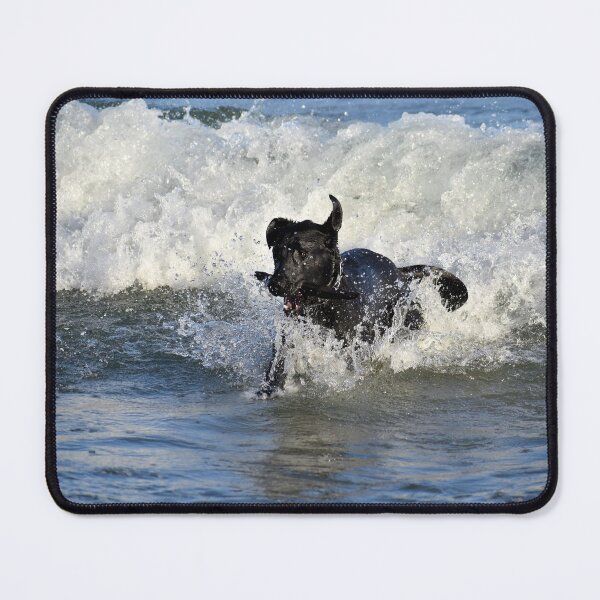 Item preview, Pure Joy designed and sold by Kathleen Brant.