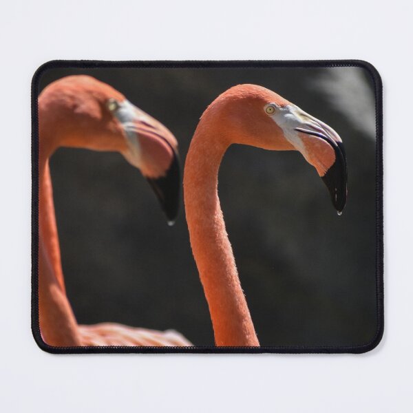 Item preview, Flamingo's & Water Drop's designed and sold by DonnaMariePhoto.