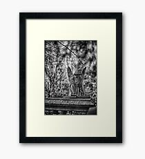 Louisa Porter Framed Print