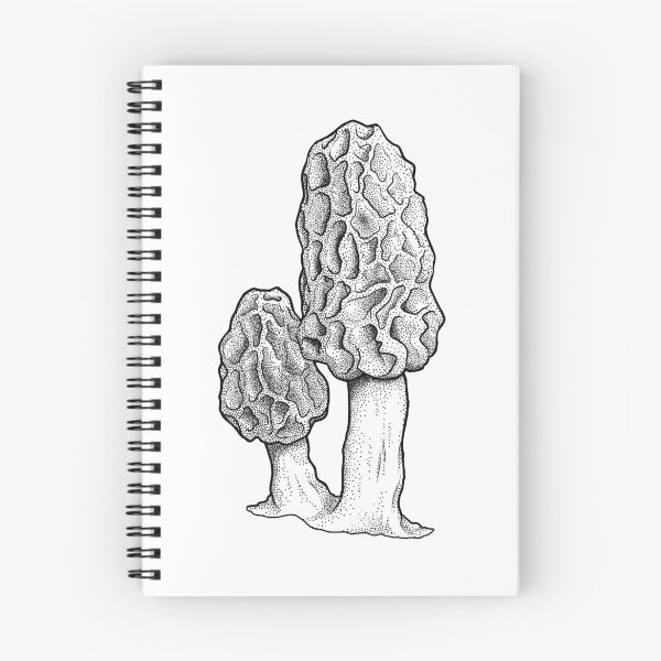 Aperçu de l'œuvre Dessin aux morilles créée et vendue par William Fehr.