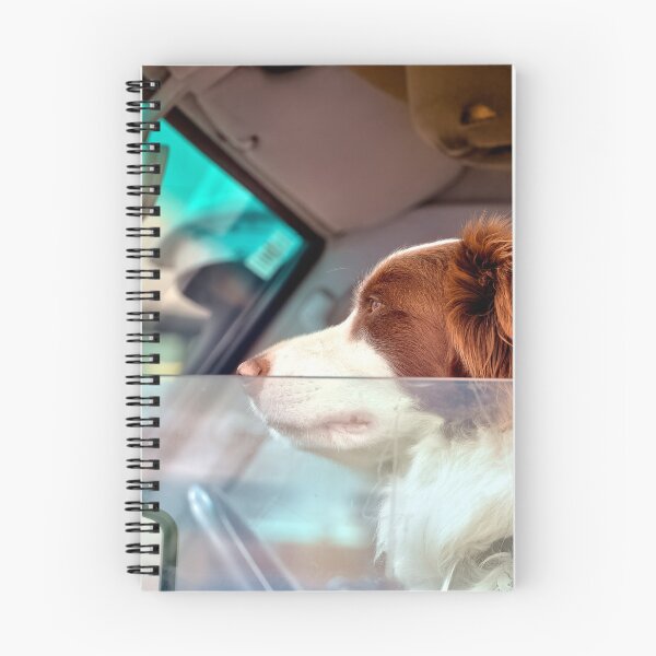 Item preview, What a good boy 21 designed and sold by kevin Chippindall.