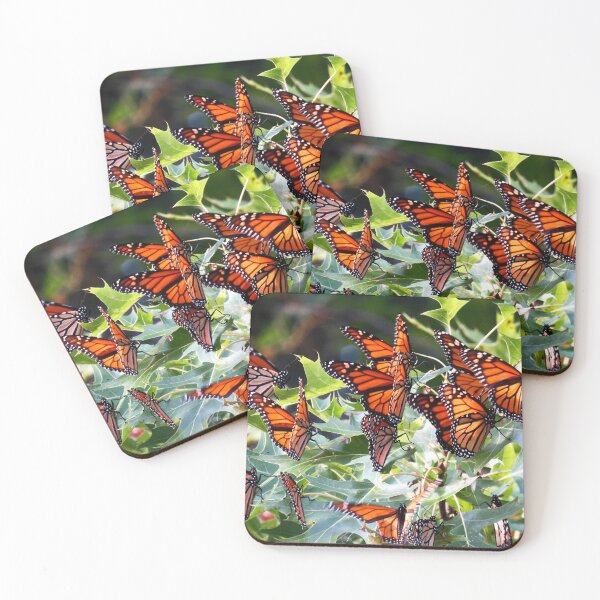 Item preview, Roosting Monarch Butterflies in an oak tree at Port Louisa National Wildlife Refuge in Iowa. designed and sold by mycloudzdesign.