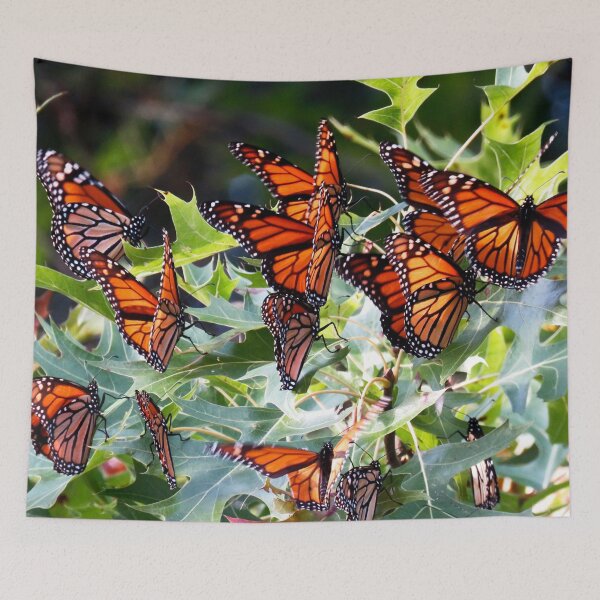 Item preview, Roosting Monarch Butterflies in an oak tree at Port Louisa National Wildlife Refuge in Iowa. designed and sold by mycloudzdesign.