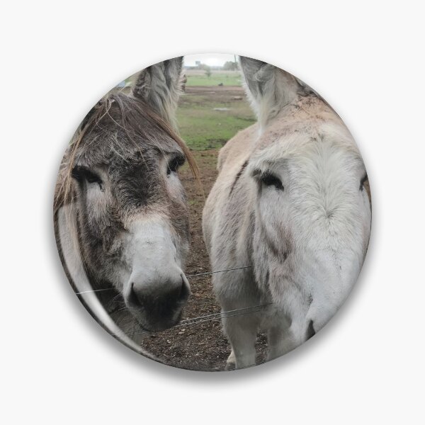 Item preview, Donkeys designed and sold by jarrahimages.