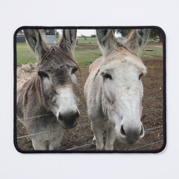 Item preview, Donkeys designed and sold by jarrahimages.