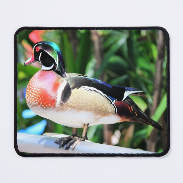 Item preview, Quack designed and sold by Blackadder Photography.