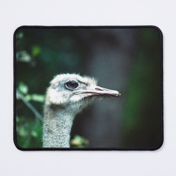 Item preview, Angry Emu designed and sold by Blackadder Photography.