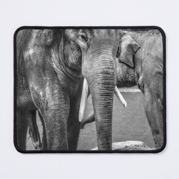 Item preview, Elephant III designed and sold by Blackadder Photography.